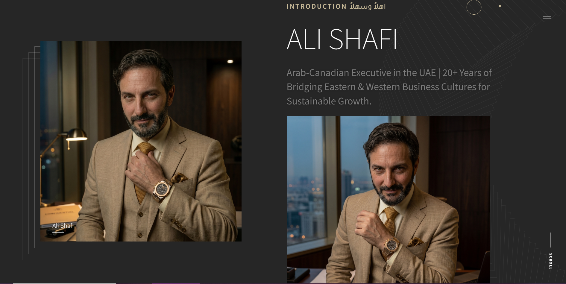 ali-shafi-website